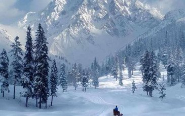 7 Nights / 8 Days | The Ultimate Kashmir Holiday Experience