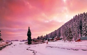 6 Nights / 7 Days | Discover the Best of Kashmir